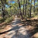Les Amourettes - 2 Min A Pied - Jardin * La Faute-sur-Mer