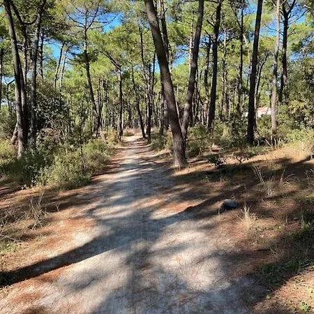 Les Amourettes - 2 Min A Pied - Jardin * La Faute-sur-Mer