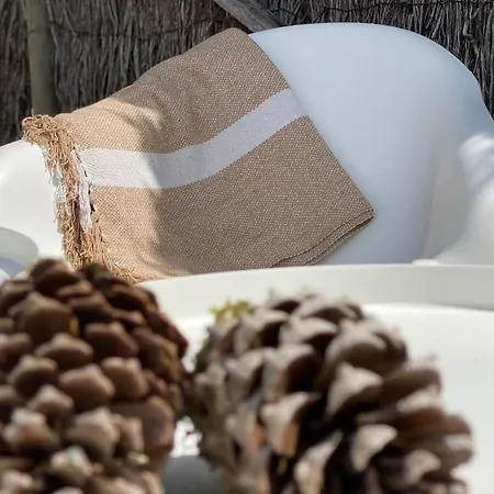 Les Amourettes - 2 Min A Pied - Jardin * La Faute-sur-Mer