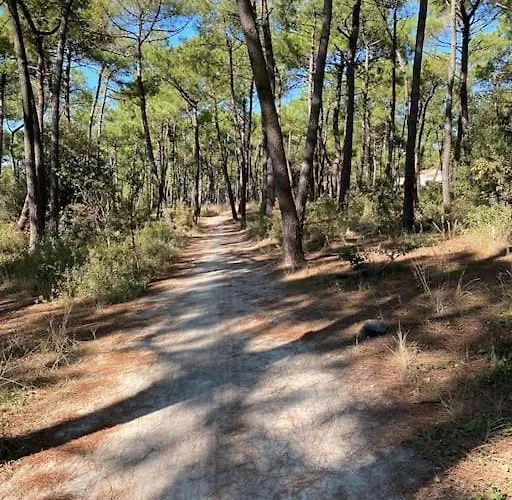 Les Amourettes - 2 Min A Pied - Jardin * La Faute-sur-Mer