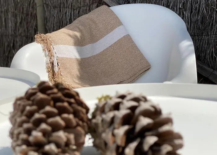 Les Amourettes - 2 Min A Pied - Jardin * La Faute-sur-Mer